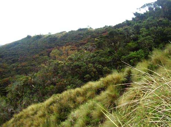 Área de Conservación Privada Chicuate-Chinguelas