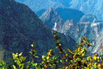 Por el Salkantay a Machu Picchu