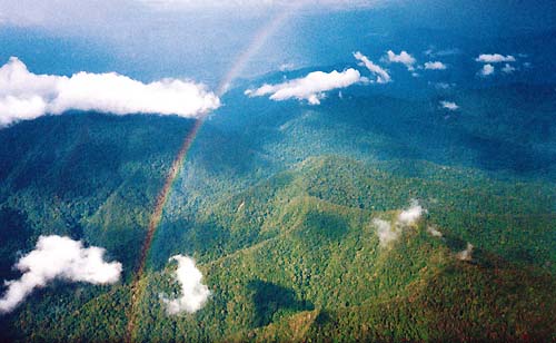 Parque Nacional Yanachaga-Chemillén y Reserva Comunal Yanesha